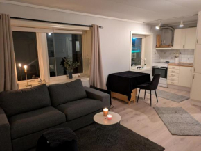 Nice apartment close to City Centre